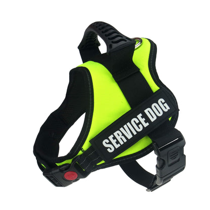 Large Dog Chest Harness with Collars and Lead Rope