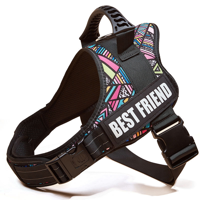 Large Dog Chest Harness with Collars and Lead Rope