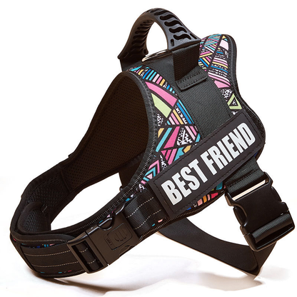 Large Dog Chest Harness with Collars and Lead Rope
