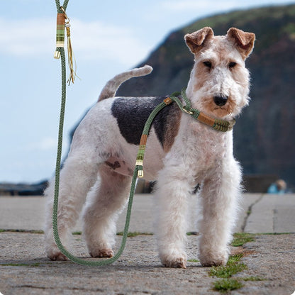 Anti-Breaking Loose Collar with Dog Hand Rope